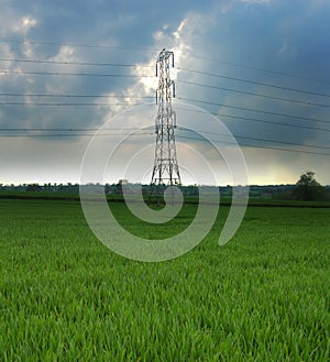 Electric pilon in a green field photo