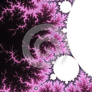 Electric pink mandelbrot fractal formula photo