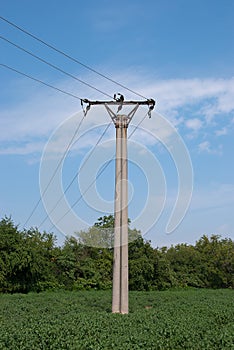 Electric pole