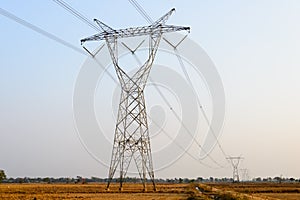 Electric Pole