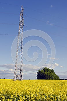 Electric pole background agricultural fields