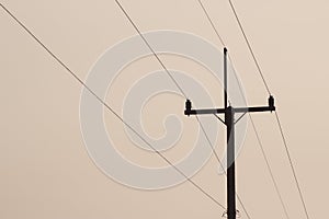 Electric Pole