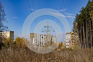 Electric pole on the edge of the city near the pine forest.