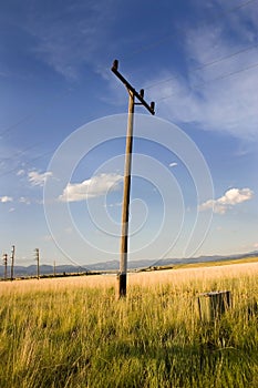 Electric Pole in a Field in Helena photo