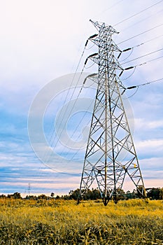 Electric pole at lea