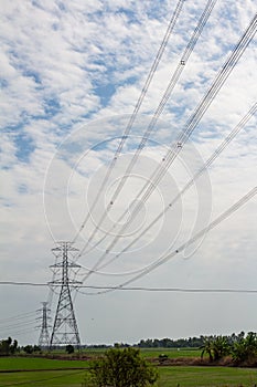 Electric pole on rice field