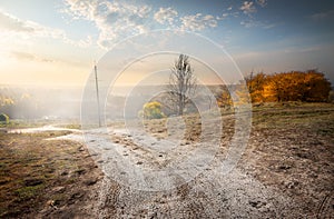 Electric pole on the road