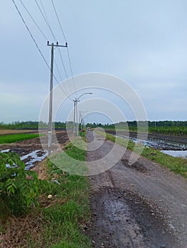 Electric poles and lampposts line the side of the dirt road. surrounding farmland and green grass and blue sky