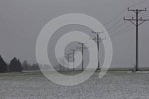 Electric poles in a snow