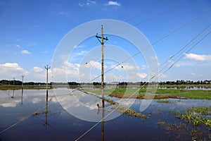 Electric poles and wires in the beautiful backwater locations