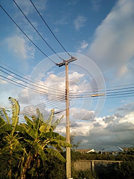 Electric post power line