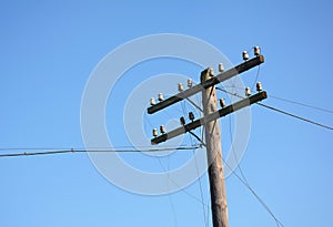 Electric post power pole. Wire breakage after hurricane. Broken power line.