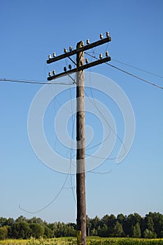 Electric post power pole. Wire breakage after hurricane. Broken power line.