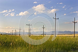 Electric Posts in a Field - Helena photo