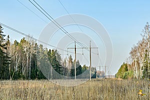 Electric power line in the forest