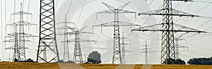 Electric power poles