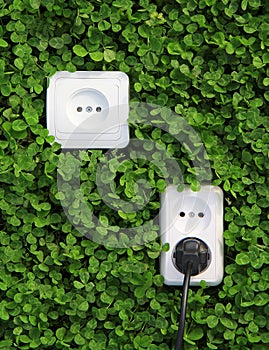 Electric power receptacle on a green grass background