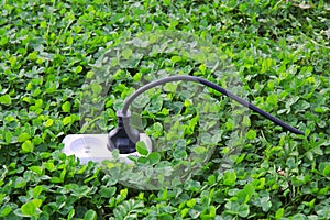 Electric power receptacle on a green grass background