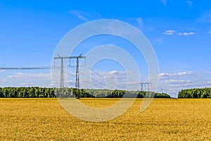 Electric power transmission line on steel supports over the grain field in summer in July.