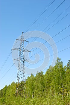 Electric powerline