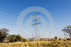 Electric Powerlines and Pylons on Winter Landscape