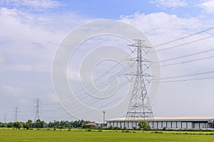 The electric pylon in the rice field