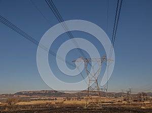 Electric pylons and lines in an electricity grid
