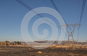 Electric pylons and lines in an electricity grid