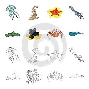 Electric ramp, mussels, crab, sperm whale.Sea animals set collection icons in cartoon,outline style vector symbol stock