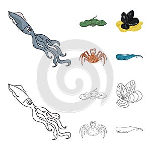 Electric ramp, mussels, crab, sperm whale.Sea animals set collection icons in cartoon,outline style vector symbol stock