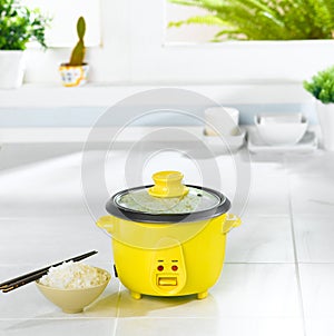 Electric rice steaming pot