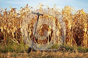 Electric scooter on agricultural field