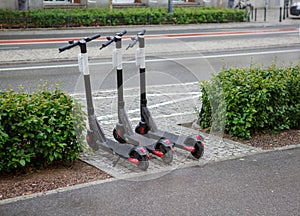 Electric scooters ready for rent. City transport