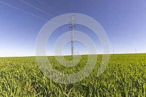 Electric tower in green field