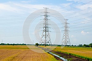 Electric towers in rice field