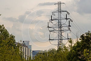 Electric transmission networks