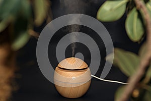 An electric ultrasonic humidifier emits atomized water droplets against a dark background.