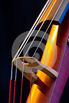 Electric Upright Bass Closeup