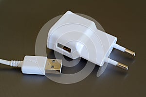 Electric and USB plugs