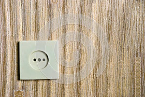 Electric wall plug