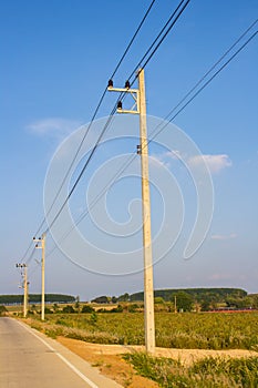 Electrical cable on the posts