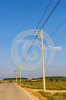 Electrical cable on the posts