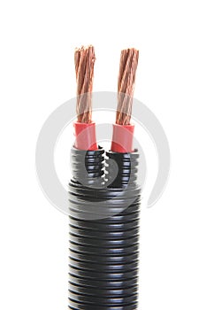 Electrical cables in a protective cover