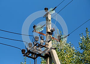 Electrical device on the pole. Wires and glass mounts and arresters. Blue sky