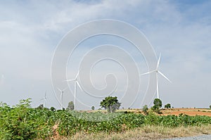 Electrical Eco power maker wind turbine in cassava farm - Huay b