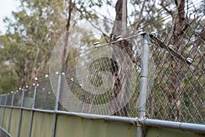 Electrical fence in the forest