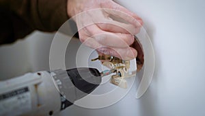 Electrical fitter is spinning a tiny mounting inside a socket for fixing wires using screwdriver indoors