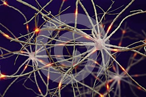 Electrical impulses in the neural networks