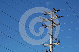 Electrical Lines