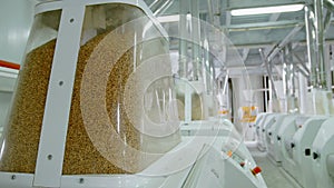 Electrical mill machinery for the production of wheat flour. Grain equipment. Grain. Agriculture. Industrial photo